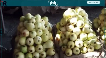 أسعار الفاكهة في بورسعيد الثلاثاء: الجوافة بـ20 جنيهاً فقط
